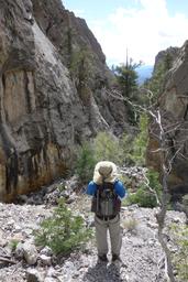 Stanley in awe of the narrows [sun may 24 16:13:57 mdt 2015]